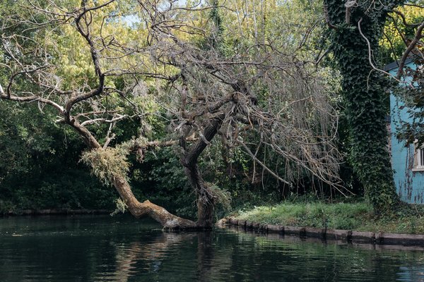 Are There Benefits to Adopting Mediterranean Diet Principles in the UK?