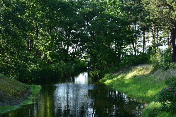 Is Personalized Medicine the Future of Cancer Treatment for Patients with BRCA Gene Mutation?